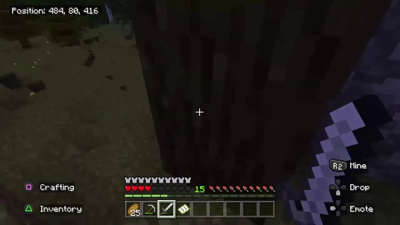 playing minecraft in survival