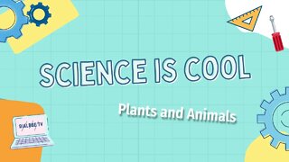 Science is cool - Plants and animals