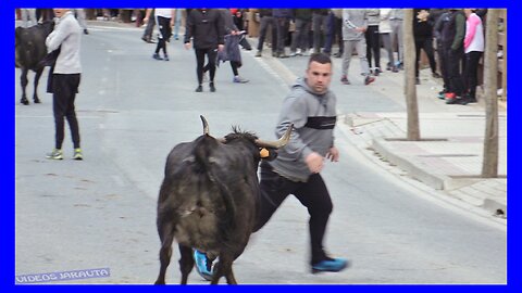 VALTIERRA ( NAVARRA ) TARDE VACAS CALLE ( SABADO 15 ABRIL 2023 ) GANAD.SANTOS ZAPATERIA