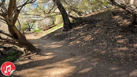 Virtual Hike with Music - Los Altos Trails - Lower Meadow Trail, Rogue Valley Trail Hike