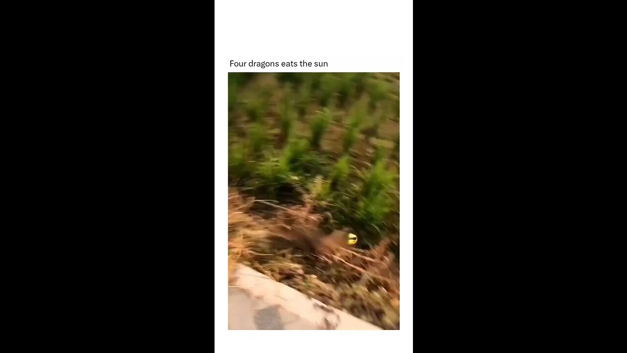 4 Dragons eat the sun
