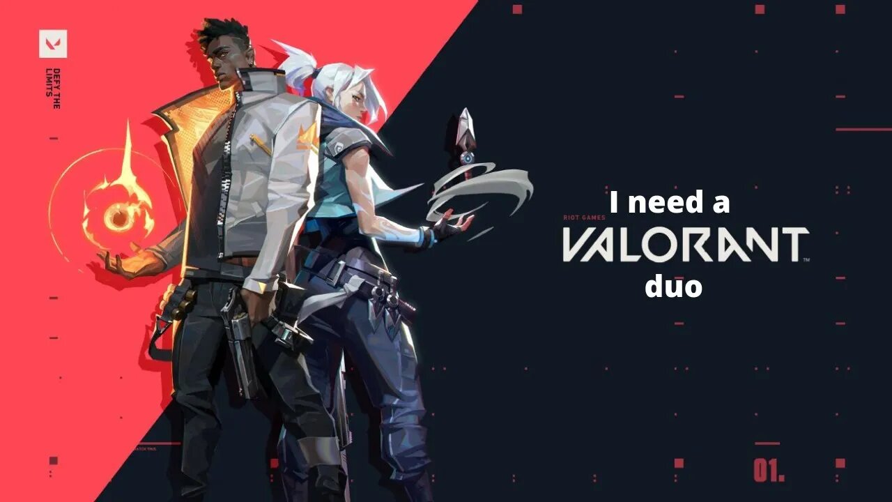 I NEED a valorant duo