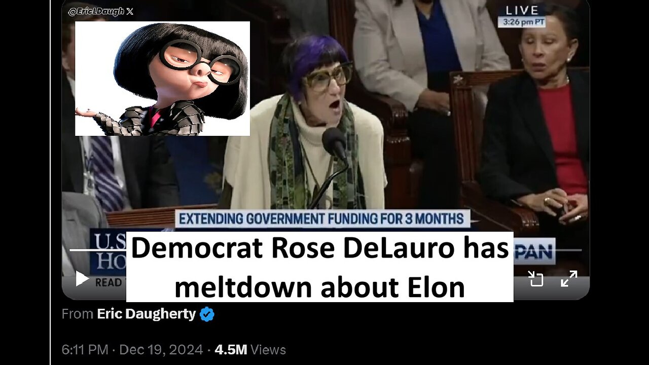 Democrat Rosa DeLauro has meltdown over Elon, Edna from Incredibles?