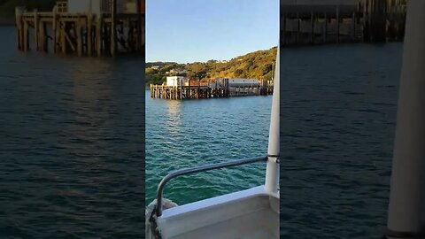 Friday night departure from Waiheke Island.