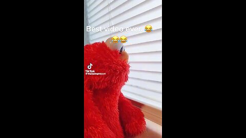 Poop on Elmo’s yard