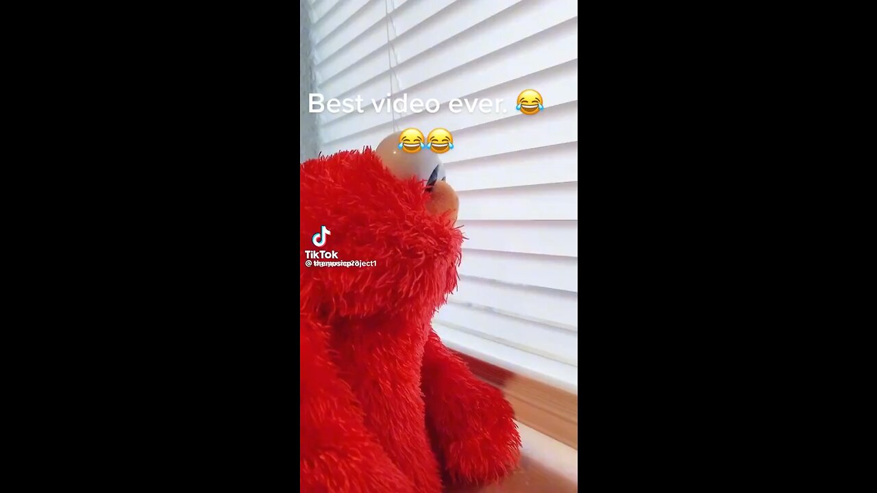 Poop on Elmo’s yard