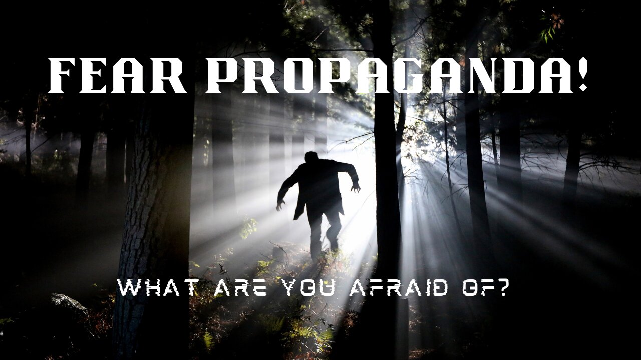 Fear Propaganda: What Are Your Afraid Of?