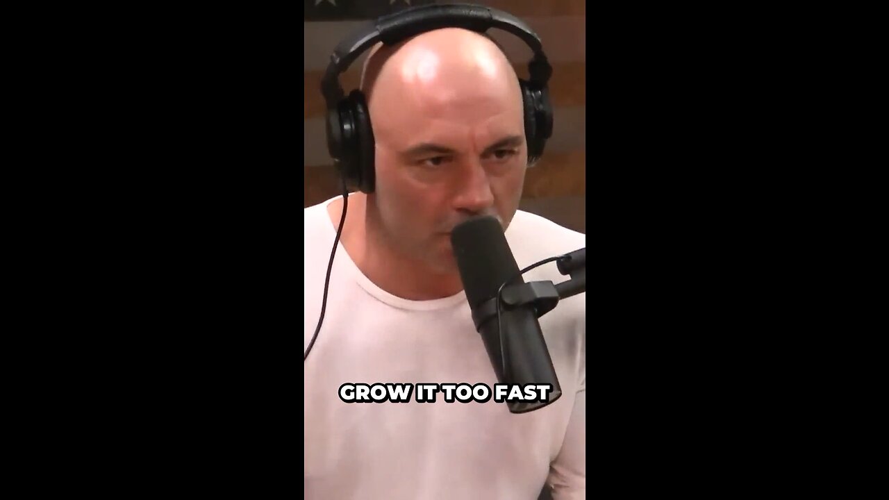 Daily Motivation- Joe Rogan & David Goggins