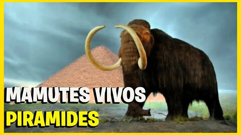 OS MAMUTES-LANOSOS AINDA ESTAVAM VIVOS JA COM A PIRÂMIDE CONSTRUÍDA