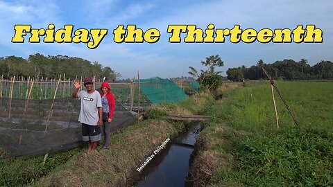 Friday The 13th at the Family Farm - Philippines