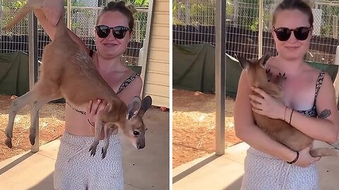 Proper technique for safely picking up baby joey