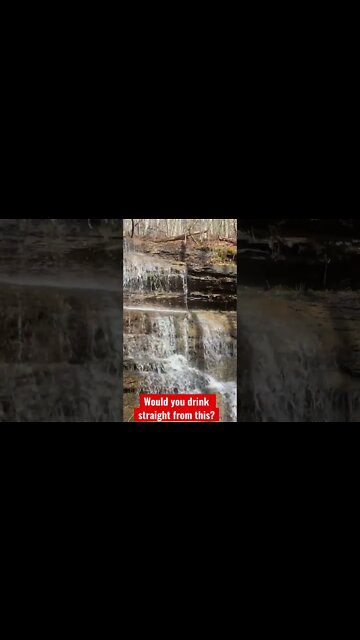 Would You Drink From This?