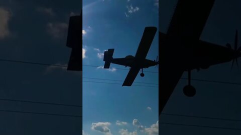 Airplane Almost Hits Tree!