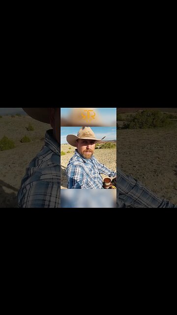 What's Actually Happening with Wild Horses in Montana 🐴💡