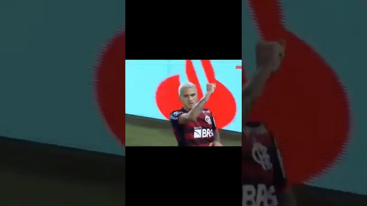 GOL DO PEDRO/ FLAMENGO X VÉLEZ/ SEMIFINAL LIBERTADORES 2022