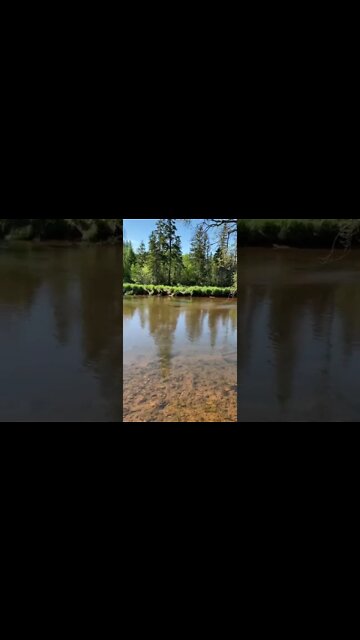 Beautiful river on the trails