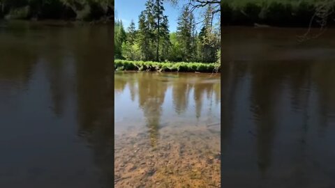 Beautiful river on the trails