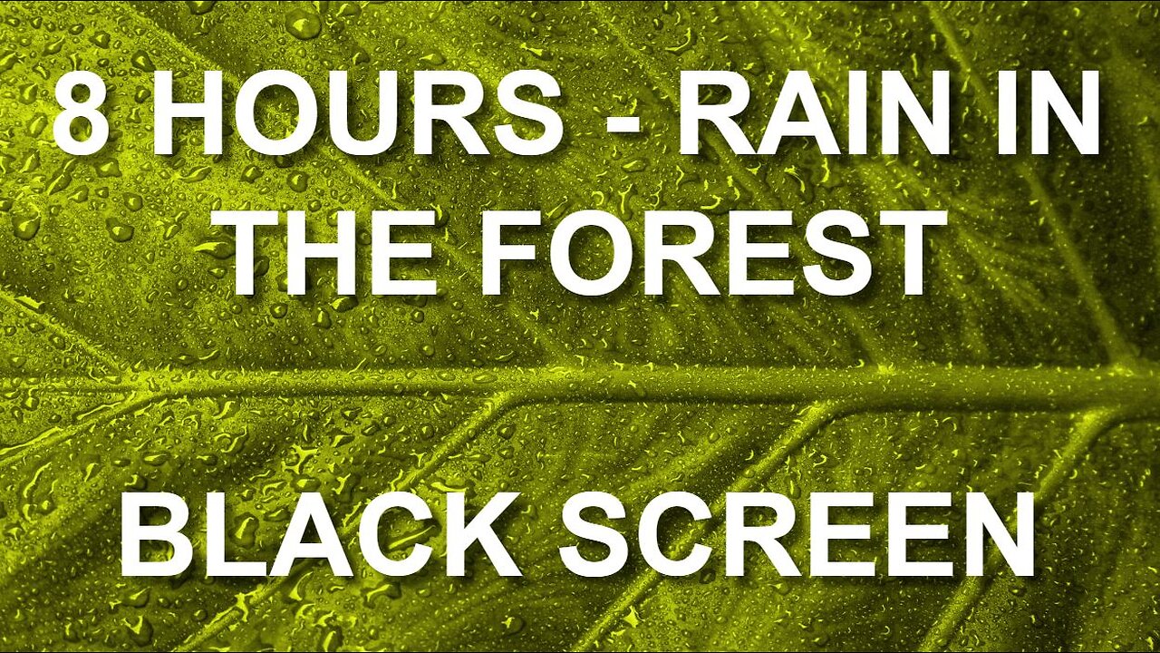 Rain in the forest | Relax and fall asleep FAST! | 8 hours BLACK SCREEN #lluvia #rain #Regen #chuva