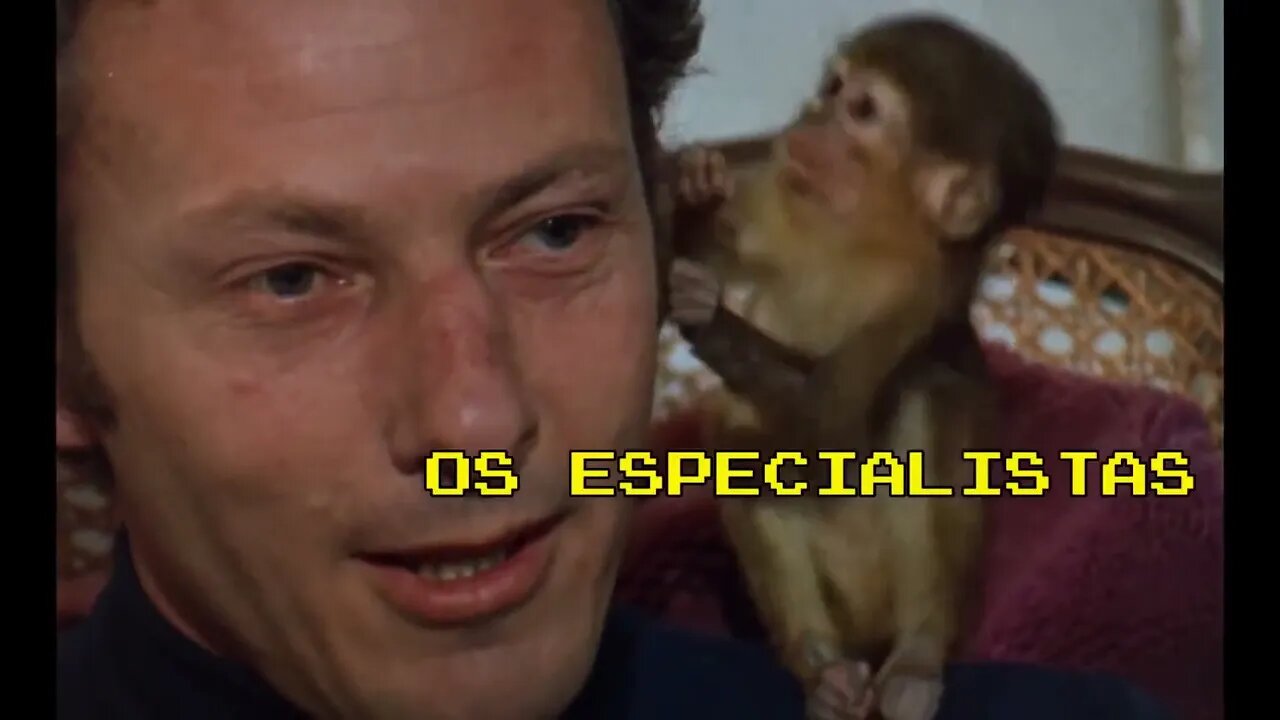 Os especialistas | Brasileirinhos