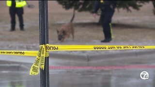 14-year-old suspect in custody after shooting near 2 Roseville schools