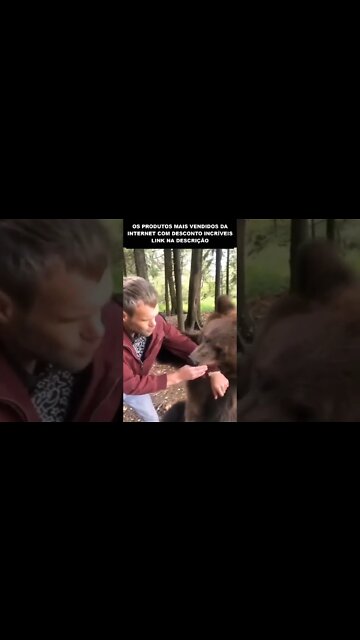 esse cara ficou com o braço preso na boca de um urso