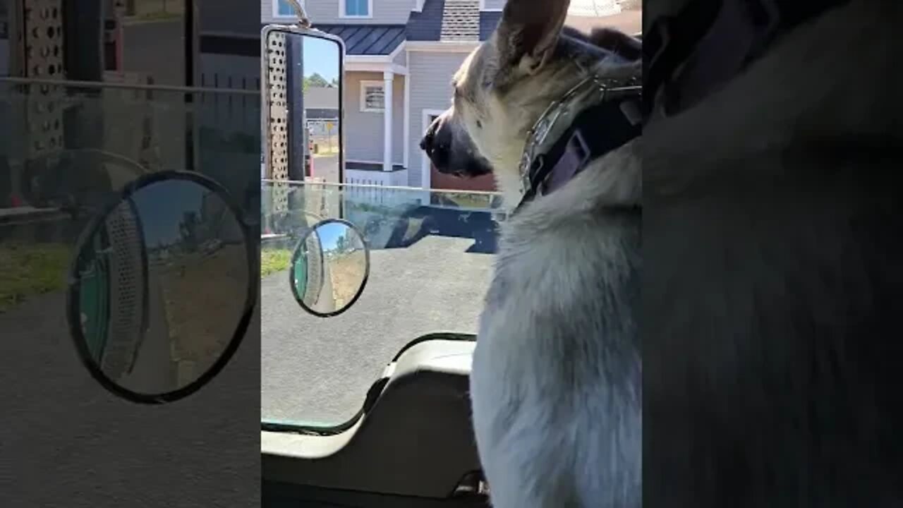 Amelia loves going to work