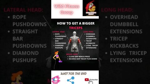 🔥How to get a bigger triceps🔥#shorts🔥#wildfitnessgroup🔥7 April 2022🔥