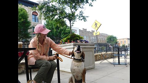 Gertie's Day Out!