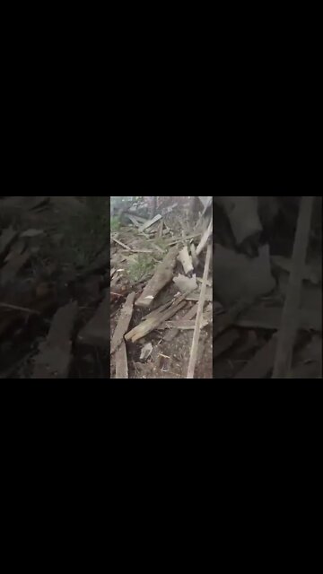 🇺🇦🇷🇺 The Consequences Of The Night Shelling Of The Village Of Golovchino In The Belgorod region