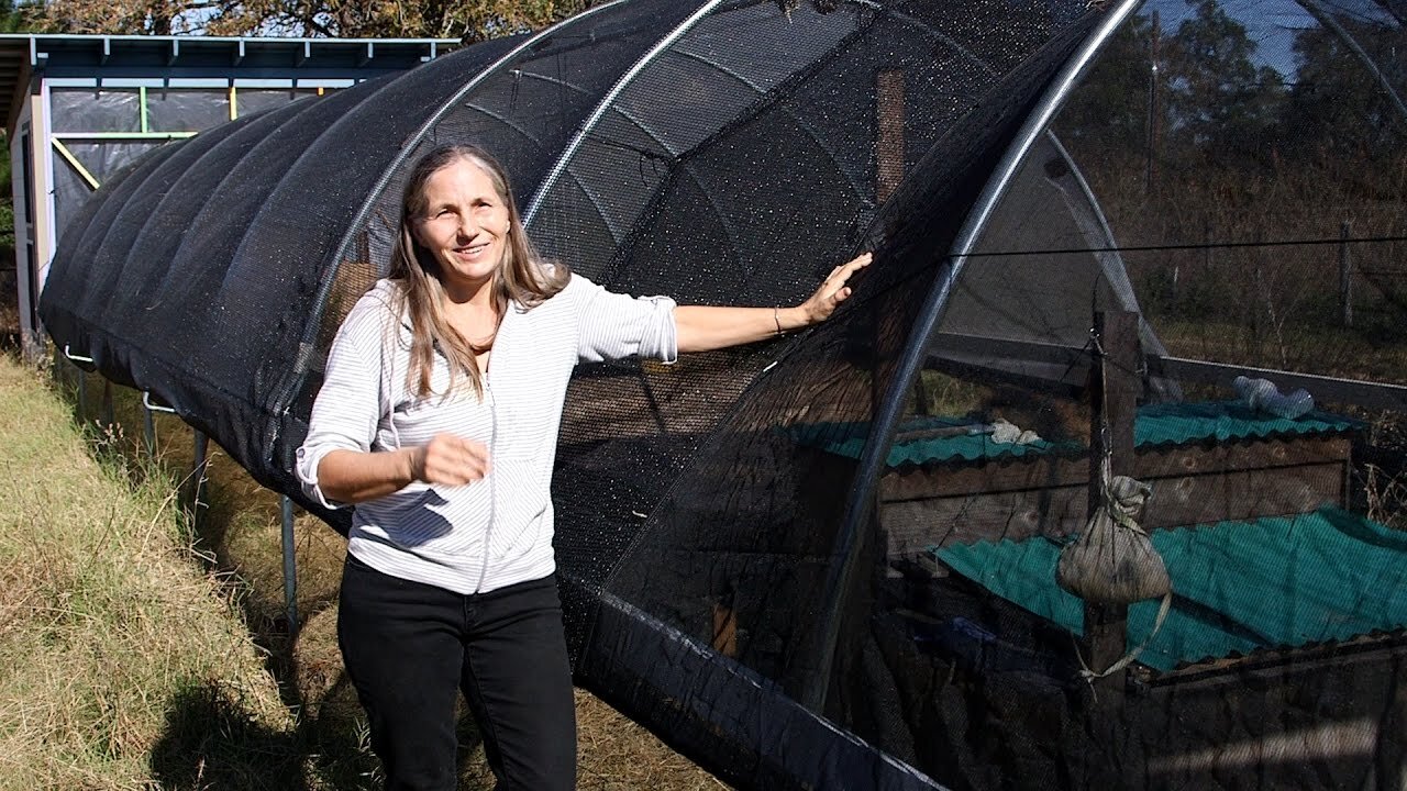 DIY Hoop House: The Easy Greenhouse Alternative - Homesteading Basics