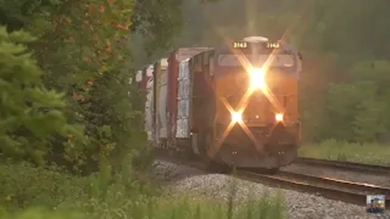 CSX and Wheeling & Lake Erie Trains from Lodi, Ohio August 3, 2024 Part 1