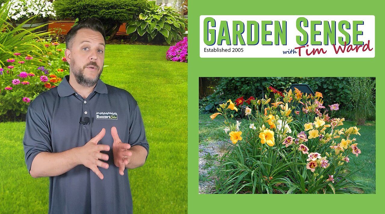 Garden Sense with Tim Ward - 06.26.24