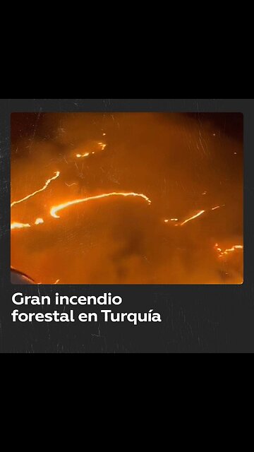 Un gran incendio forestal avanza en el noroeste de Turquía