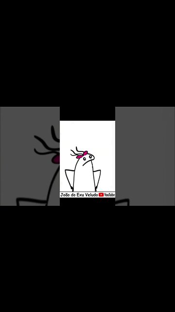 51 993 31 6211 whats