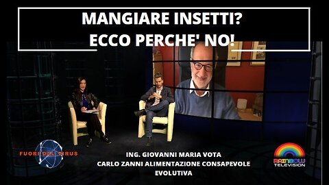 MANGIARE INSETTI? ECCO PERCHE' NO! Fuori dal Virus n.295