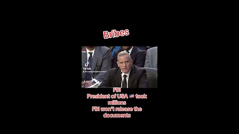 FBI Biden millions