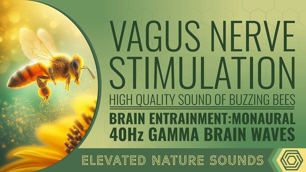 Vagus Nerve Stimulation MONAURAL 40Hz Gamma BWE Anxiety Hunger Depression Weight Gain Inflamation