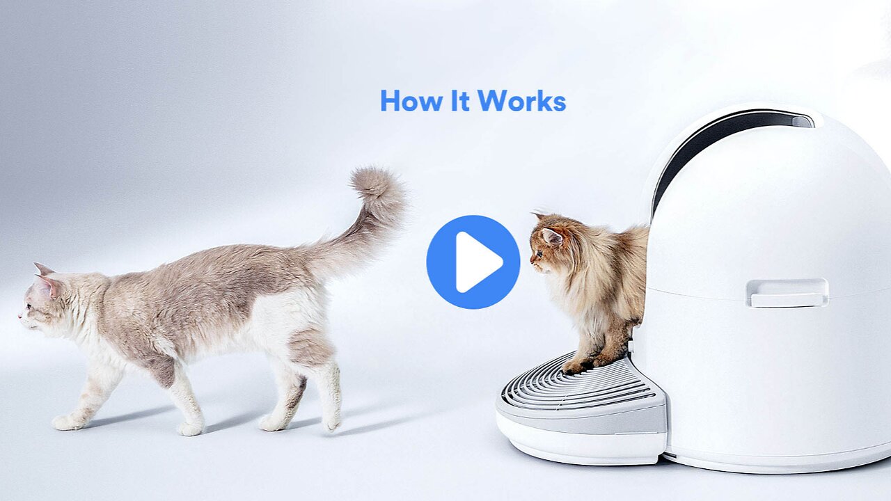 ChouBox | The Ultimate Automatic Cat Litter Box