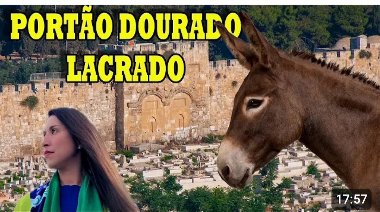 A EXILADA, O BURRO NO PORTÃO DOURADO, DREX EM 2024 E MAIS