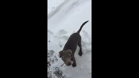 Playing in the snow!