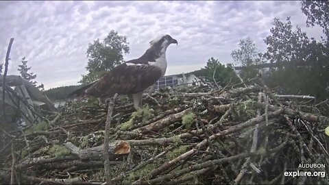 Steve brings lots of sticks, Halley is not amused. 9-6-19