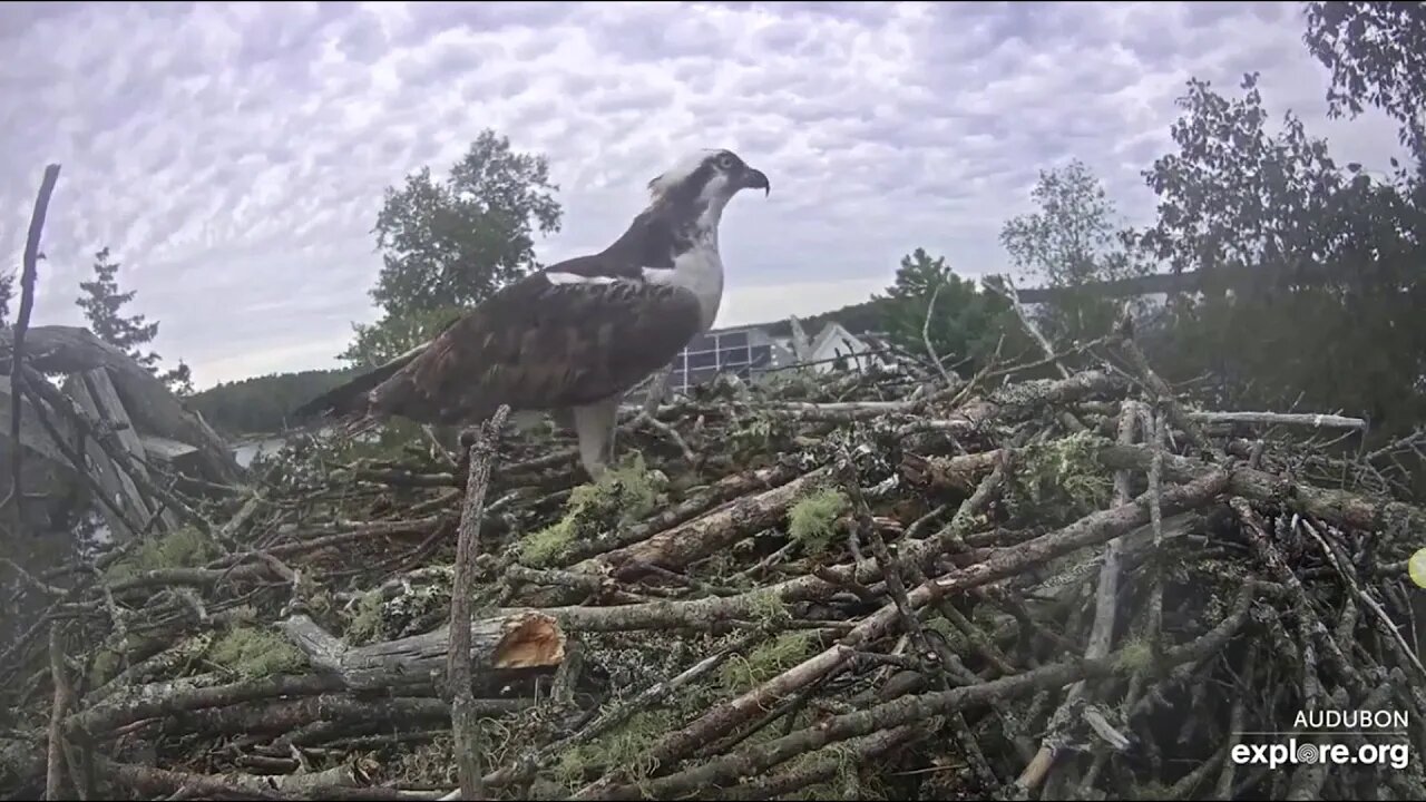 Steve brings lots of sticks, Halley is not amused. 9-6-19