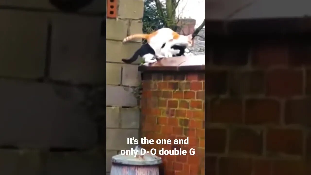 MEME IS the one and only D-O double G #shorts