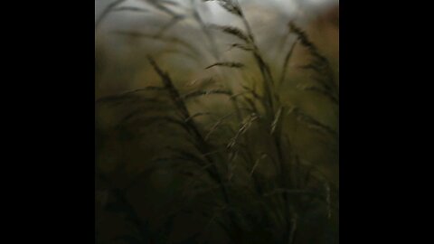 分享今日经文。 愿主与我们同在。 阿门