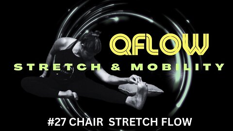 QFLOW CHAIR #27