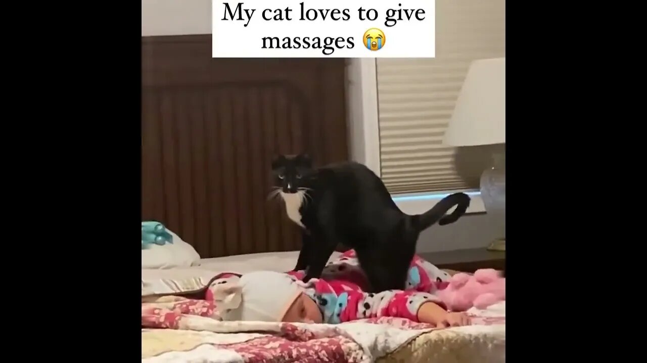 The cat may be tenderizing that baby. 😬😁