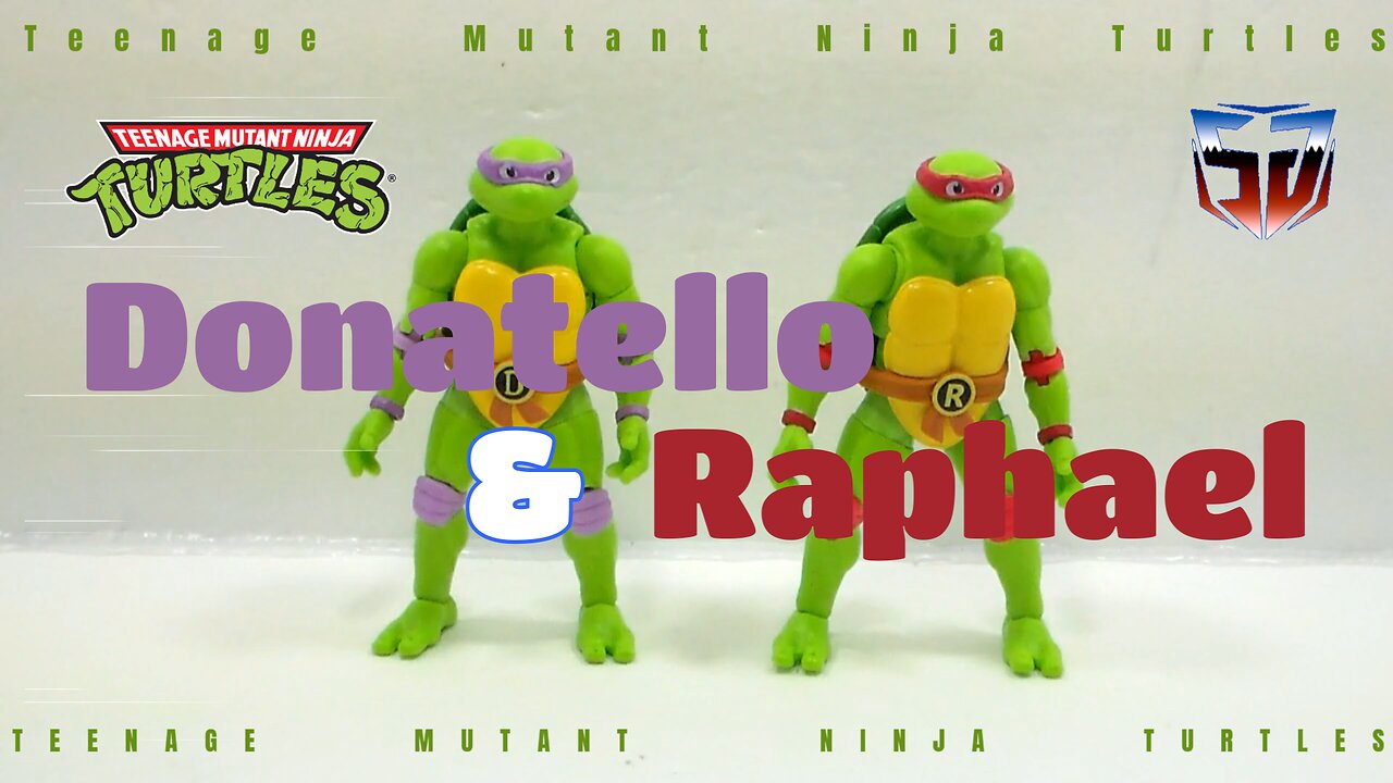 Toy Review Teenage Mutant Ninja Turtles pt 2 Dom and Raph