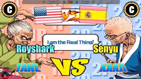 Power Instinct Matrimelee (Royshark Vs. Senyu) [U.S.A. Vs. Spain]