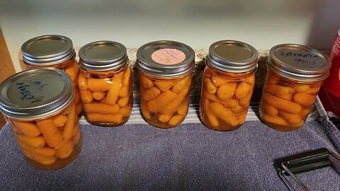 Finished carrots all sealed