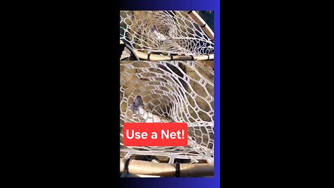 Great Reason to Use a Net!